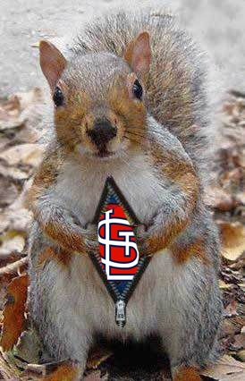 St. Louis Cardinals Rally Squirrel