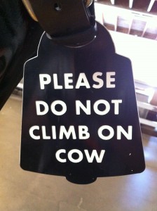 please do not climb on cow